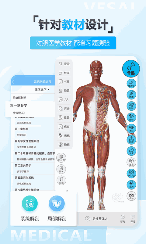 维萨里3D解剖教学截图1