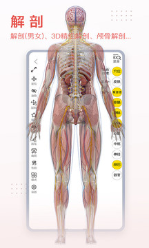 3DBody截图3