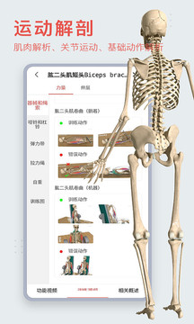 3DBody截图1