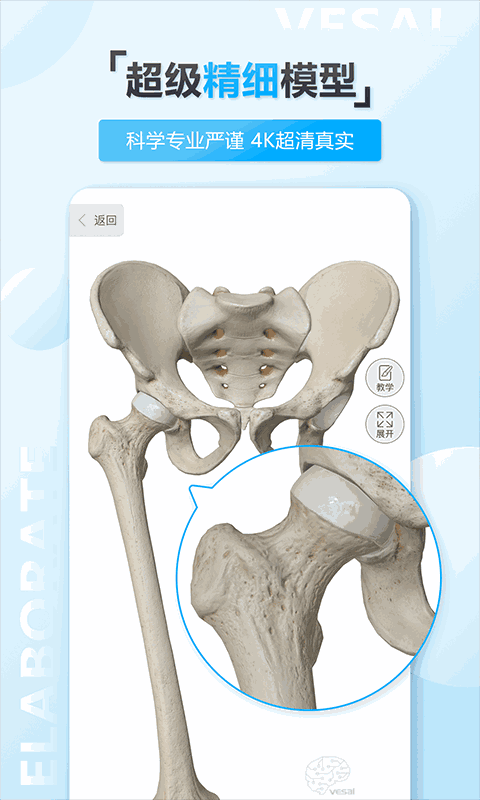 维萨里3D解剖教学截图2