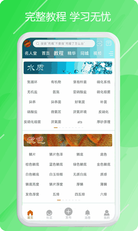 龙族截图2