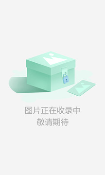 网球传奇截图1