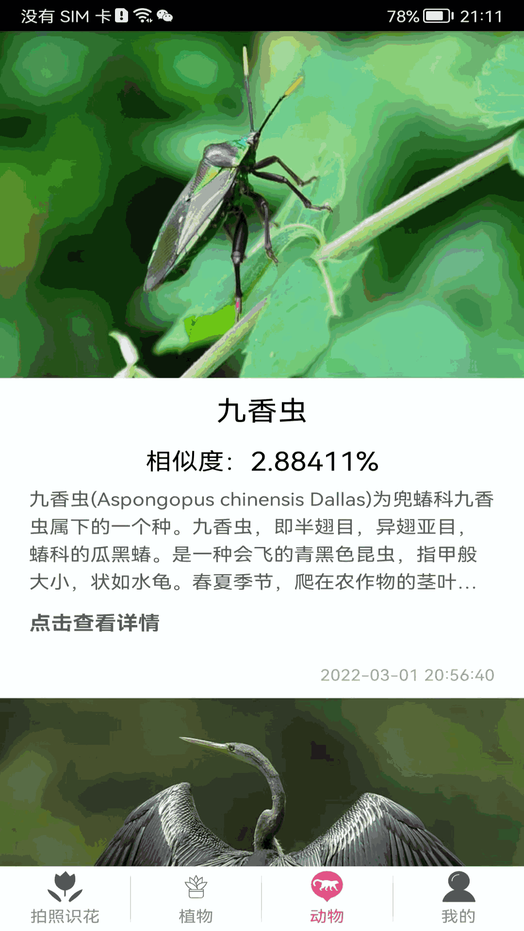 拍照识花神器截图3