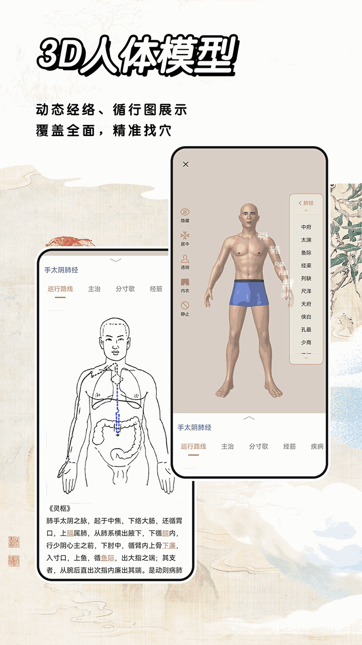 中医经络穴位标准指南截图2