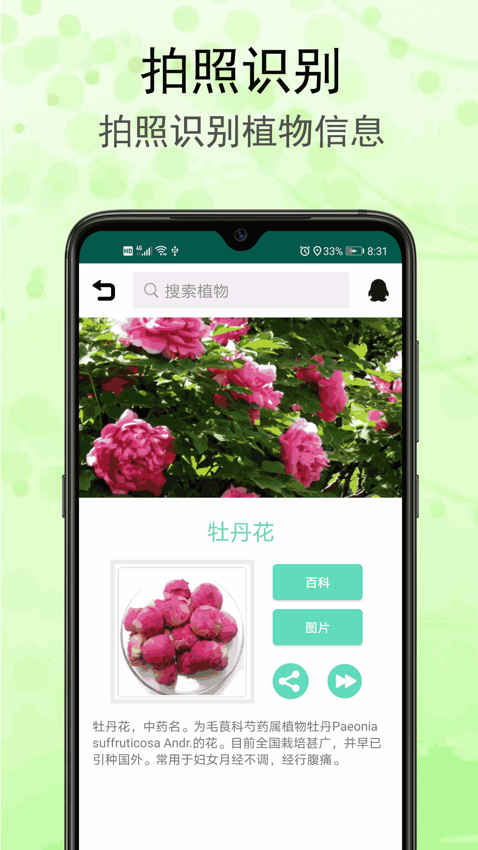 识花草截图1